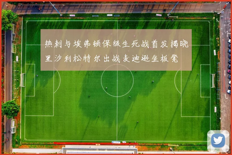 热刺与埃弗顿保级生死战首发揭晓里沙利松特尔出战麦迪逊坐板凳